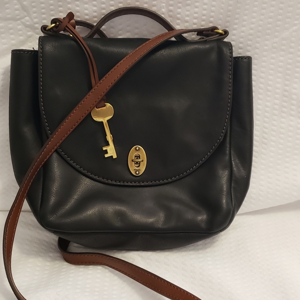 Fossil purse